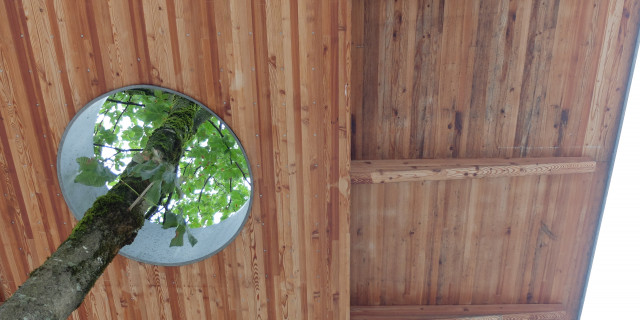 Ein Haus wie ein Baum