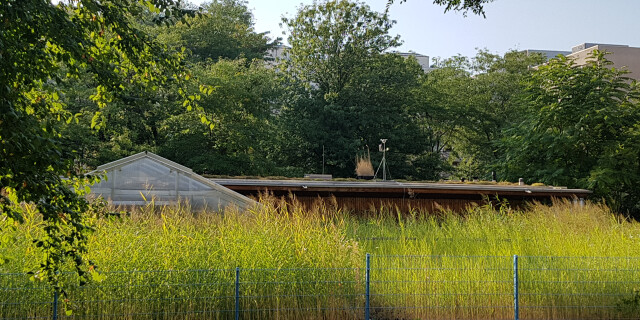 Eine stadtökologische Keimzelle