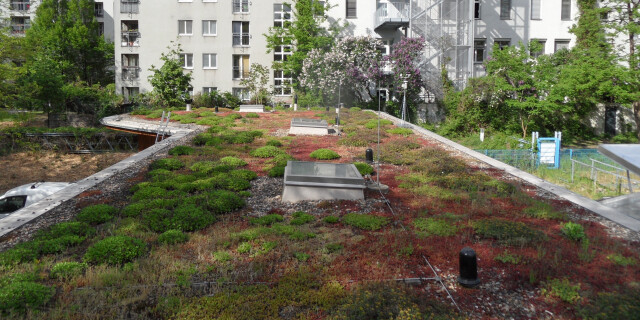 Die Natur als Vorbild