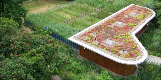 Ein stadtökologisches Leuchtturmprojekt