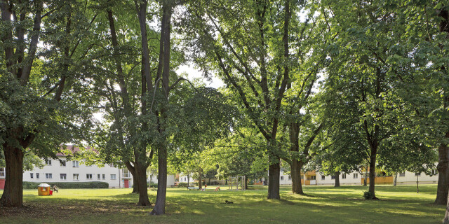 Flexibles Wohnen unter den Baumkronen